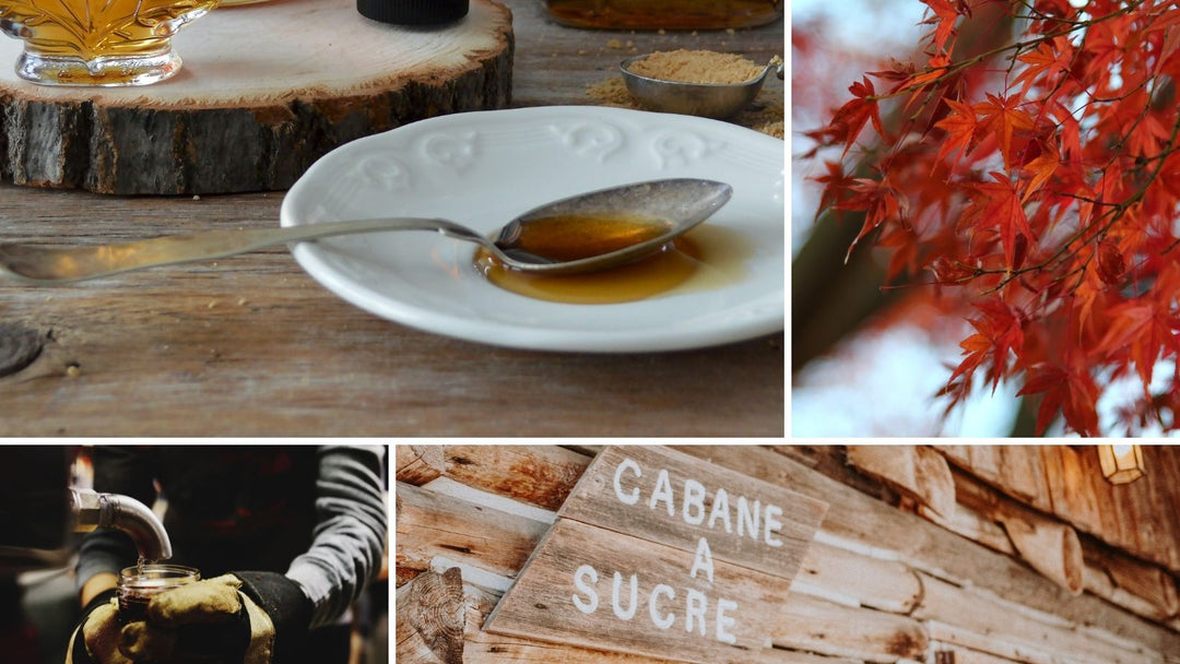 Maple syrup – Is it nature’s performance fuel? - Protein Rebel UK