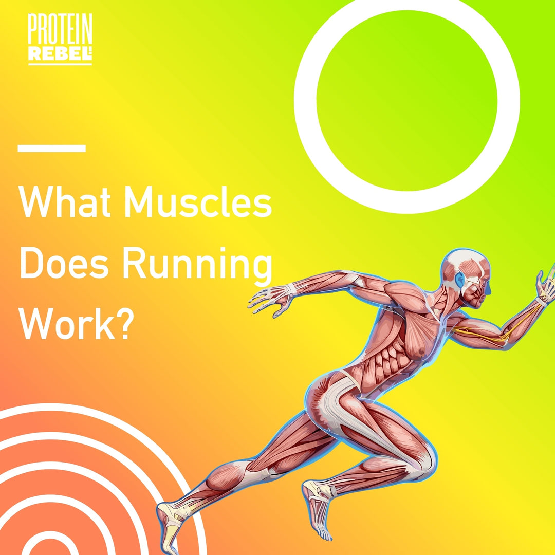 What Muscles Does Running Work?